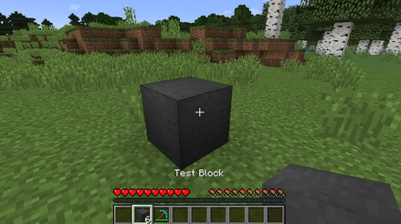 Testblock in minecraft.png
